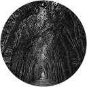 Jonas stojeckis profile picture