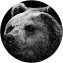 Algirdas Norkus profile picture